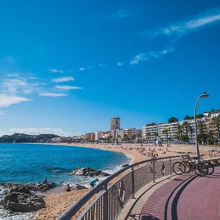 ホステル Loft Apart&hostal